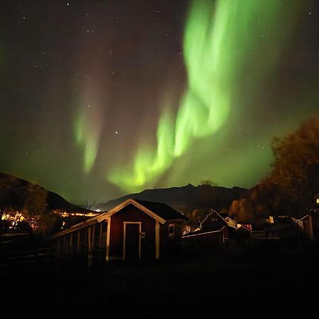 Koselig Dyregard I Tromso Otel Dış mekan fotoğraf