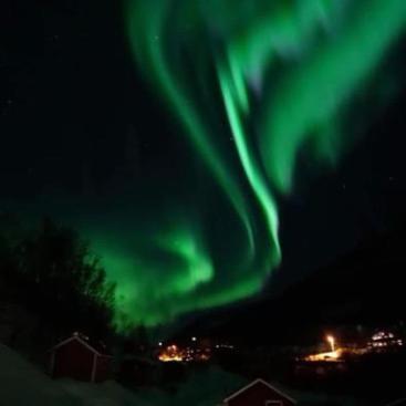 Koselig Dyregard I Tromso Otel Dış mekan fotoğraf